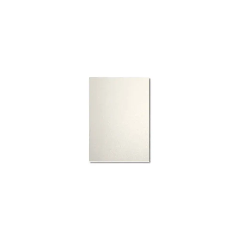 100x Papier page de garde PVC A4 120mic