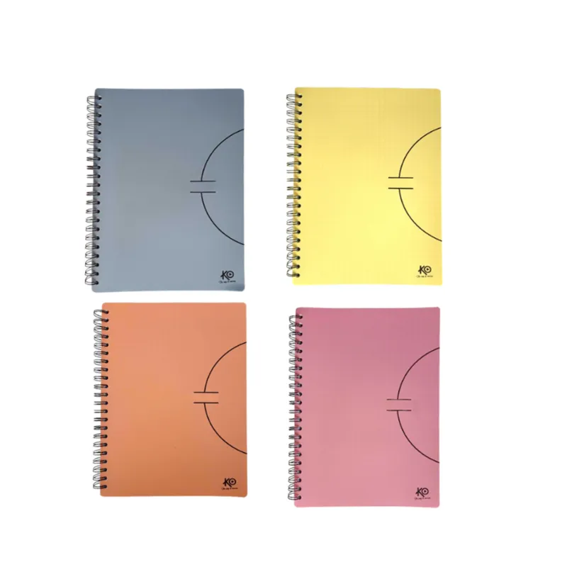 Cahier WIRO KO GF / Couverture Cartonnée / 300 Pages