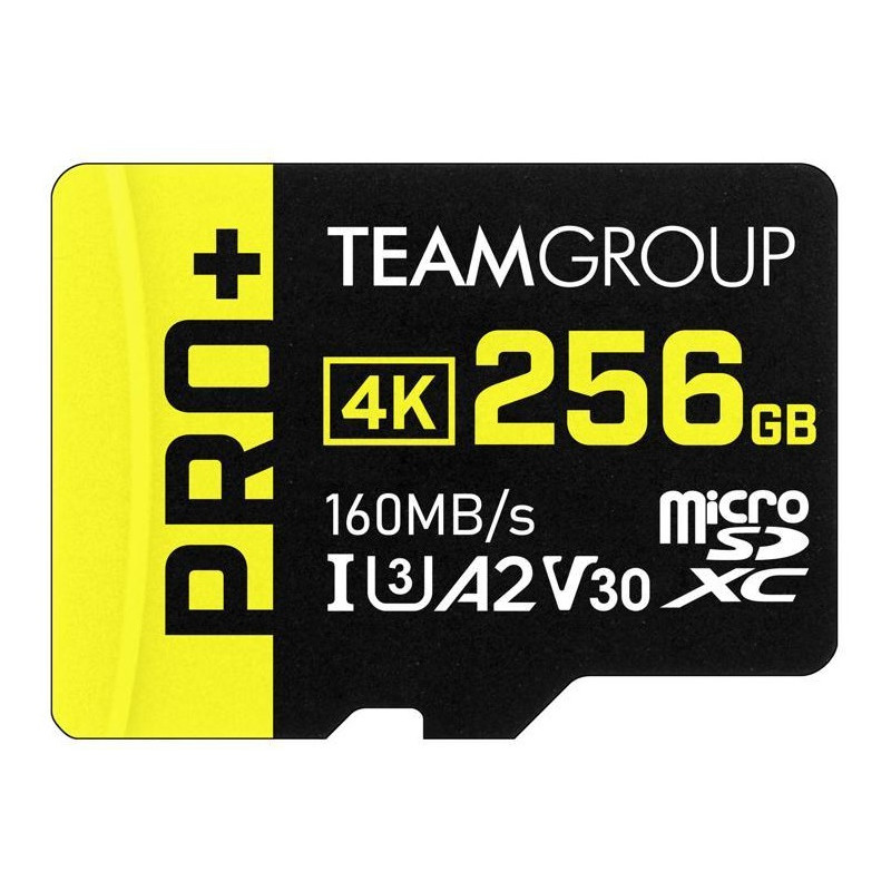 Carte mémoire TEAMGROUP A2 Pro Plus Card 256GB Micro SDXC UHS-I U3 A2