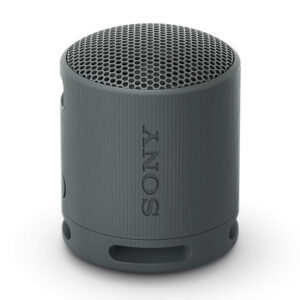 Enceinte SONY compacte sans fil Bluetooth XB100 | Gris