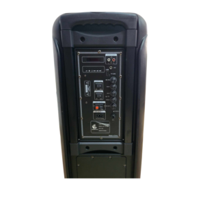 HAUT PARLEUR HOME DJ MODEL PRO / 60W + Micro sans Fil + Télécommande