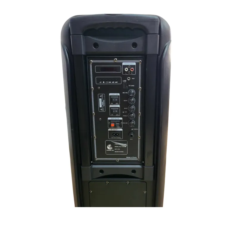 HAUT PARLEUR HOME DJ MODEL PRO / 60W + Micro sans Fil + Télécommande