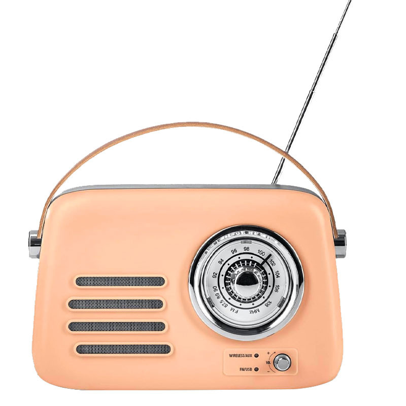 Haut-parleur Portable T10 AVEC FM / Marron