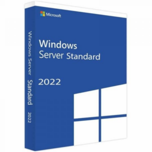 Microsoft Windows Server 2022 Standard 64 Bits Français