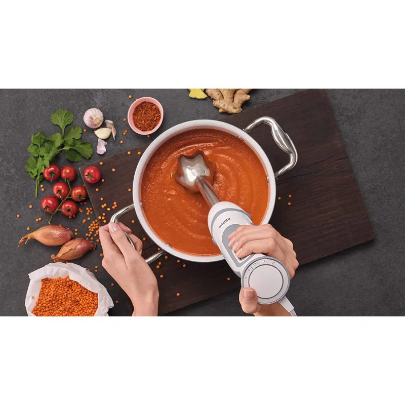 Mixeur Plongeon Multifonctions Braun MultiQuick 5 Vario / 1000W