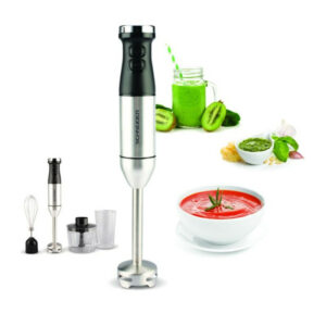 Mixeur SCHNEIDER 3EN1 / 600W / INOX