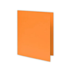 Paquet de 100 Chemises COSTO BRISTOL 180G / Orange
