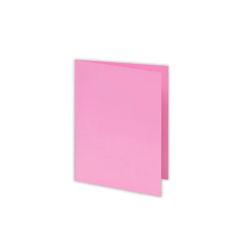 Paquet de 100 chemises COSTO BRISTOL 180g / Rose