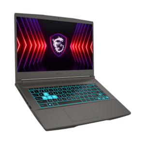 Pc Portable Gamer MSI Thin 15 B13VE / i5-13420H / RTX 4050 6G / 32 Go / 512 Go SSD / Gris