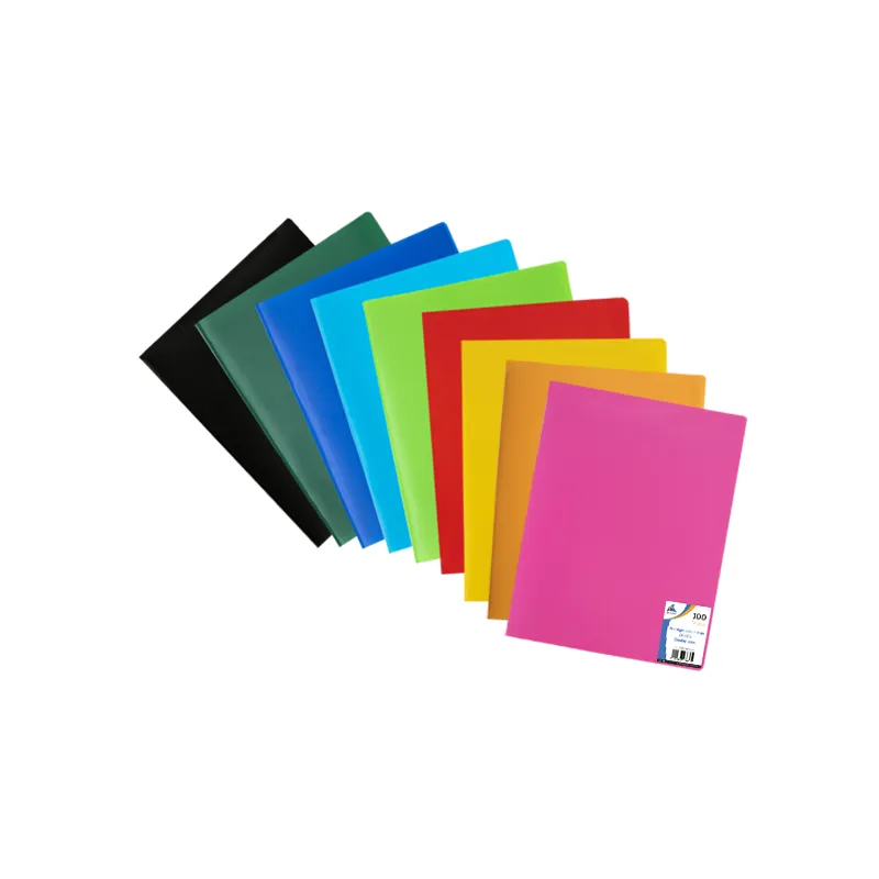 PORTE DOCUMENTS / 100 Vues / ESSENTIAL Purple