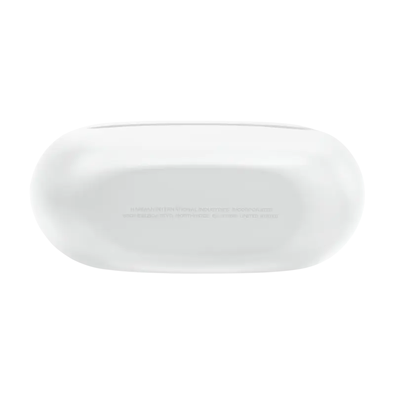 Écouteurs JBL Endurance Race 2 Blanc