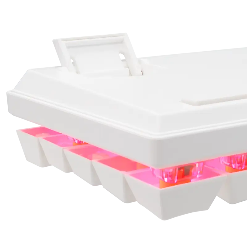 Clavier mécanique Baracuda BGK-03221W DOLPHIN White / Blue Switch