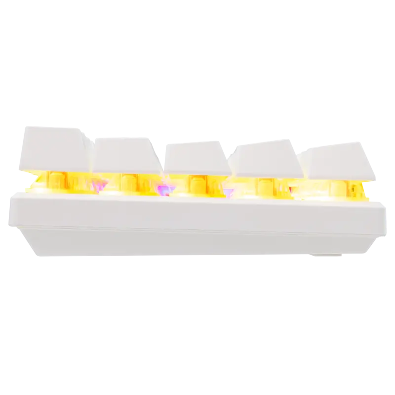 Clavier mécanique Baracuda BGK-03221W DOLPHIN White / Blue Switch