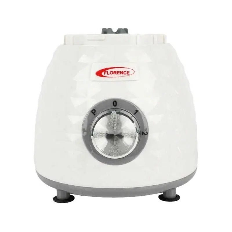 Blender FLORENCE BL820 1000W Avec Moulin -GRIS