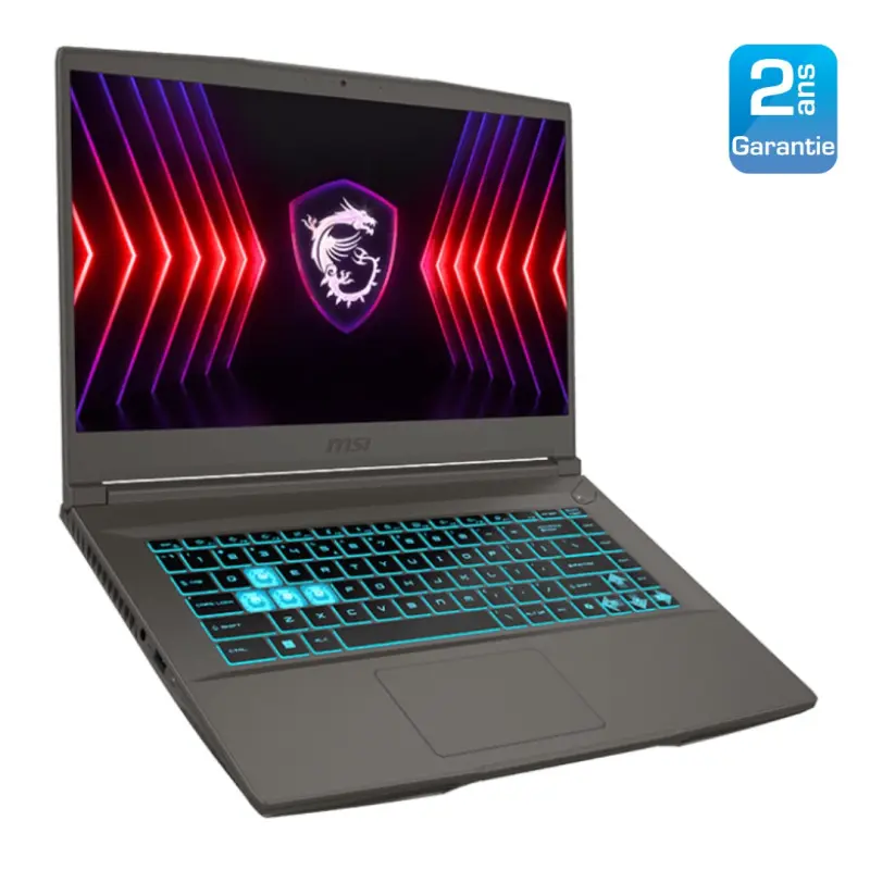 Portable Gamer MSI Thin 15 B13UDX / i5-13420H / RTX 3050 6G / 8 Go / 512 Go SSD / Windows 11 Pro / Gris Avec Casque Gaming surround virtuel Patriot Viper V360 7.1 RGB / USB / Noir