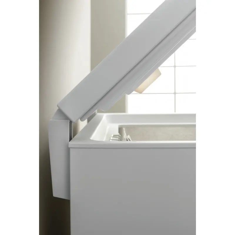 Congélateur Horizontal Ignis CEI250 / 250L / Blanc