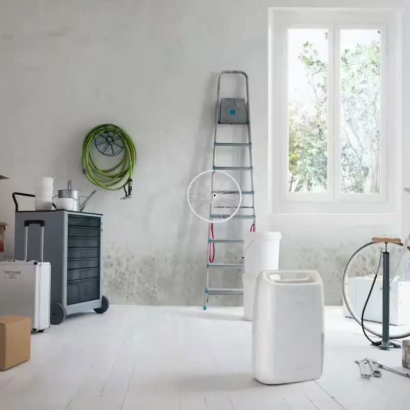 DESHUMIDIFICATEUR DELONGHI 10Litres / Blanc / DEX210SF