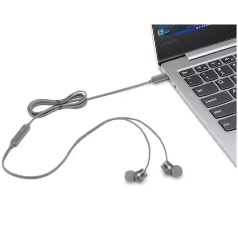 Écouteurs filaires intra-auriculaires Lenovo 300 / USB-C / Gris