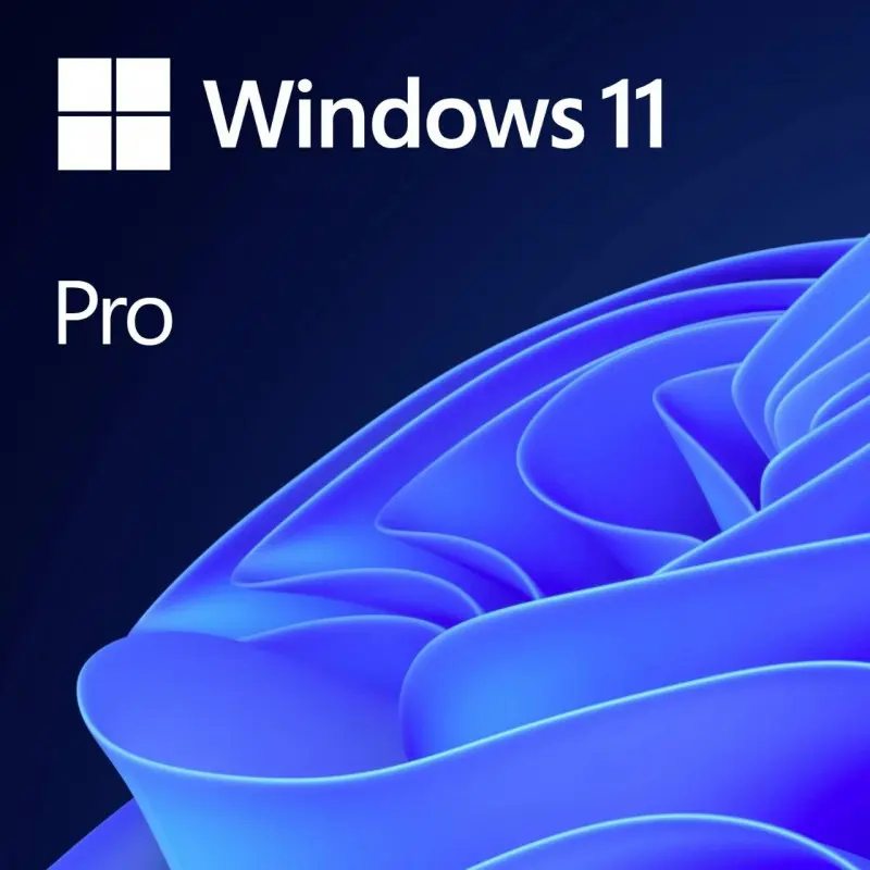 Microsoft Windows 11 Professionnel 64 bits (français) – OEM