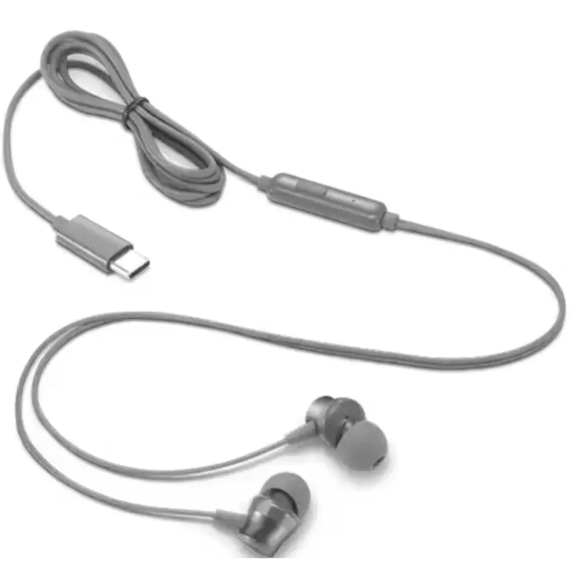 Écouteurs filaires intra-auriculaires Lenovo 300 / USB-C / Gris
