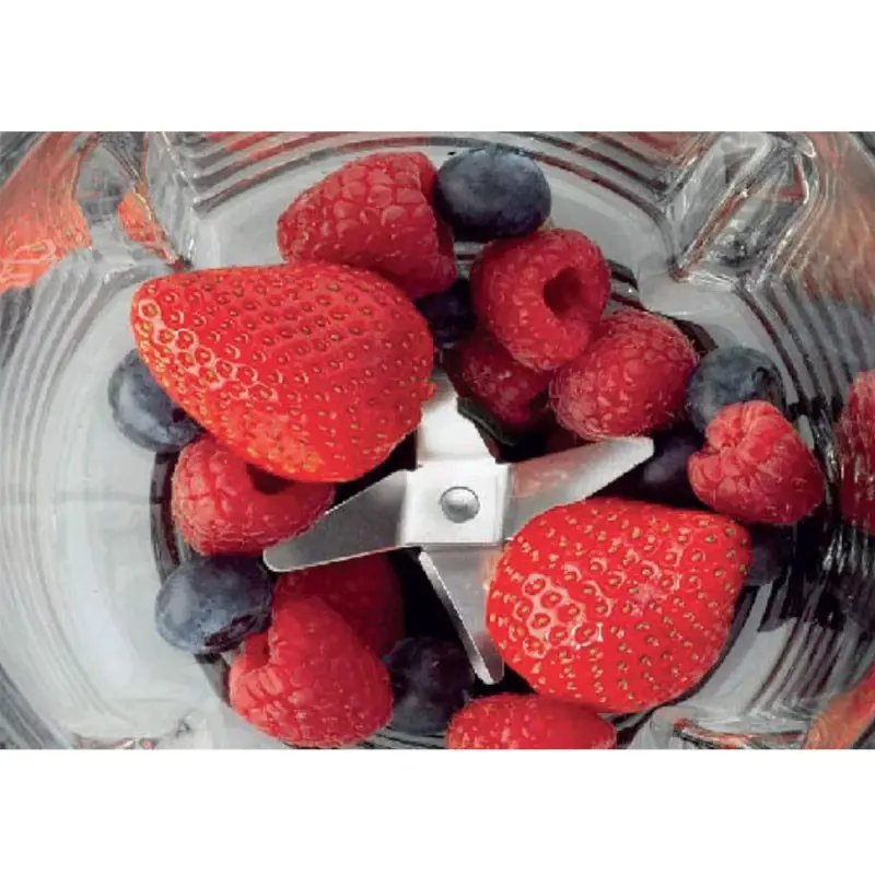 Blender HISENSE 1.5 Litres / 500W / Blanc