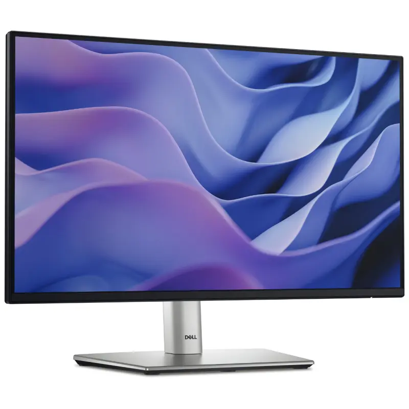 Écran Dell P2225H 22&Prime; Full HD IPS / 100 Hz / Noir