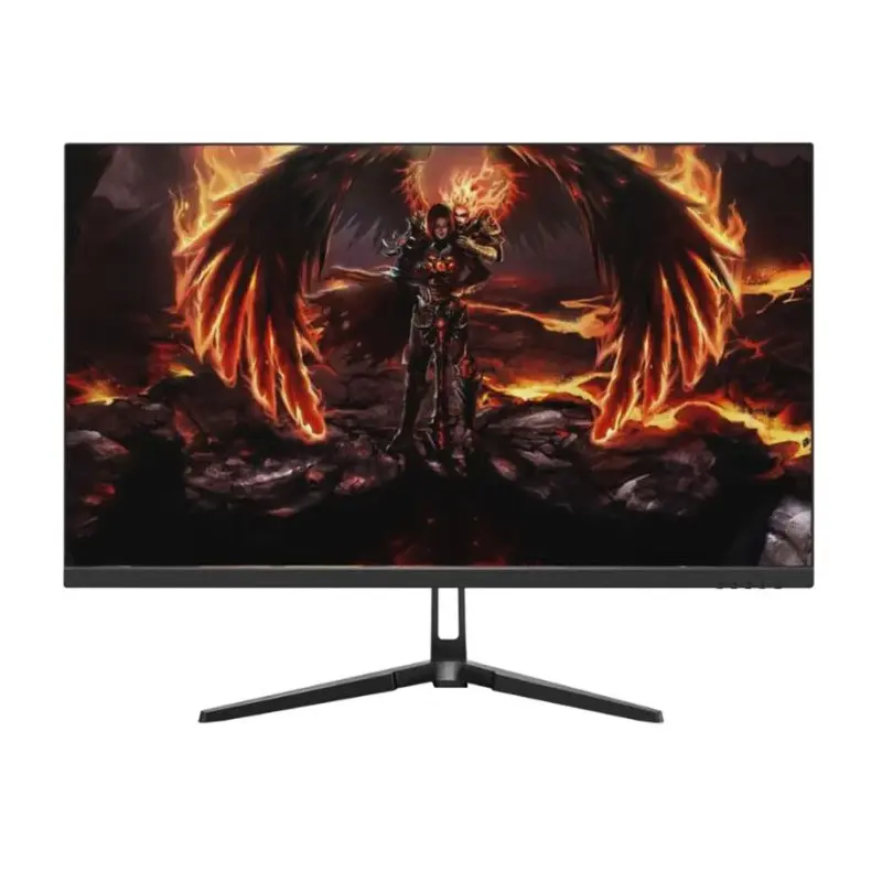 ECRAN GAMING AERO 24.5 » QG25DFA FULL HD / 240HZ