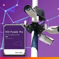 Disque Dur Interne 3.5&Prime; POUR VIDEO SURVEILLANCE Western Digital Purple 10 To