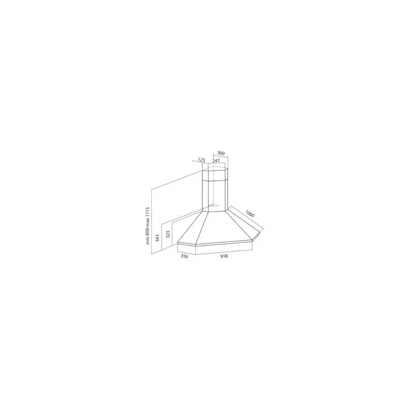 HOTTE DE COIN FOCUS F1000X 100 CM / INOX